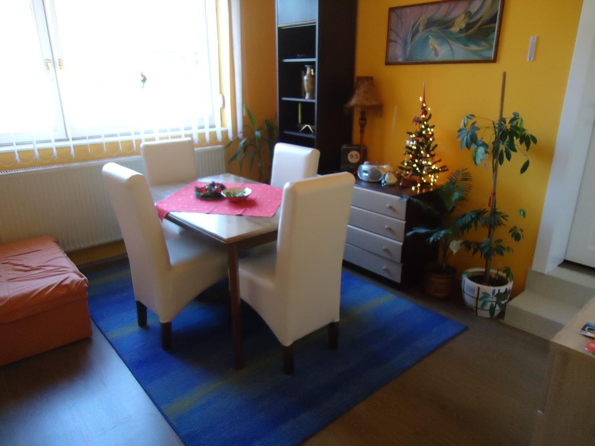 Vrnjačka Banja 斯维特拉娜旅馆酒店 外观 照片